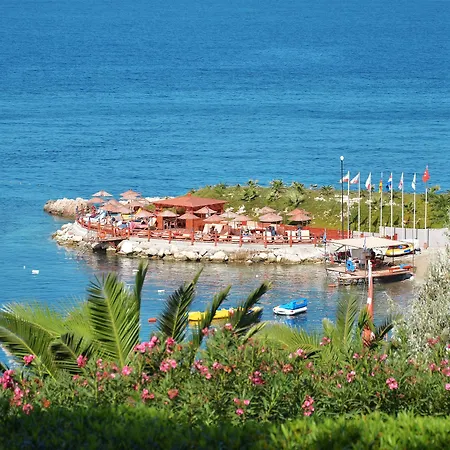 The Grand Blue Sky International