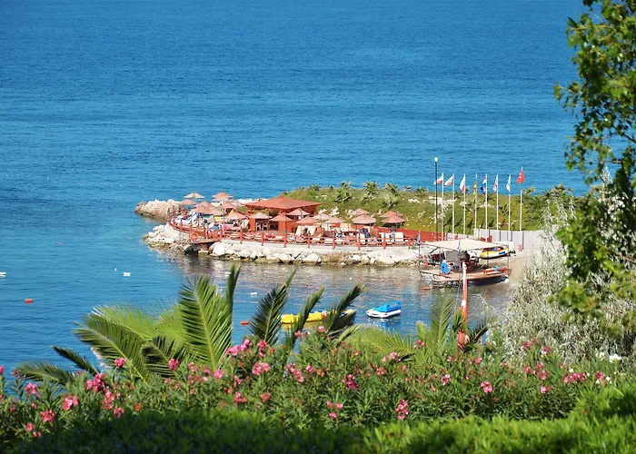 The Grand Blue Sky International