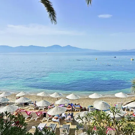 The Grand Blue Sky International