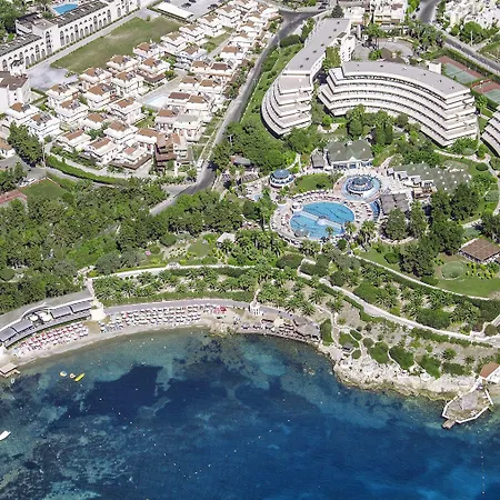 The Grand Blue Sky International