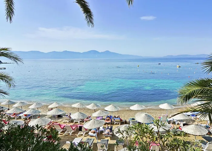 The Grand Blue Sky International